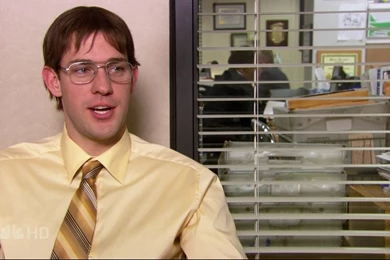 Identity Theft   Jim Halpert Photo (638750)   Fanpop