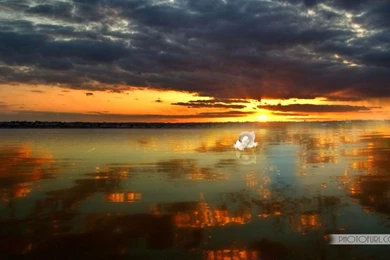 Page 1201 Boats Lake Scenery Wallpapers Free Download Lightning ...