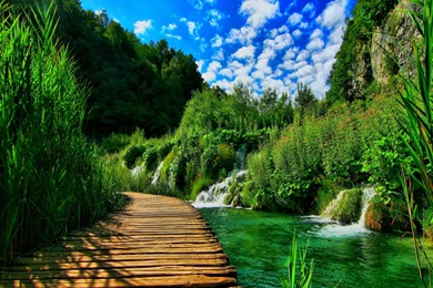 Desktop Nature Wallpapers   Wallpapers Cave