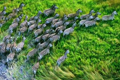 Best iPhone Wallpapers