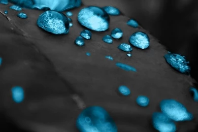 Best Hd Wallpapers For Iphone   HD Widescreen Wallpapers