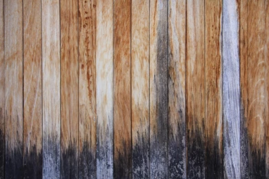 Free Wood Textures