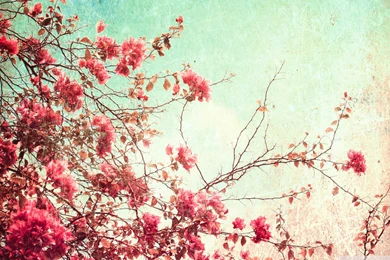 Vintage Flowers Wallpapers Best Collection Of Vintage Flower