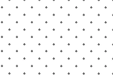 Small Print   Wallpapers & Border