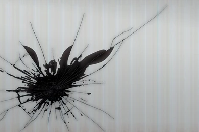 16650) Broken Screen Android Wallpapers   WalOps.com