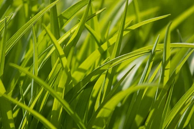 Wallpapers Archives   Lastzero's Blog