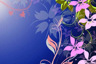 Floral Wallpapers Hd Widescreen   Fullwidehd.com