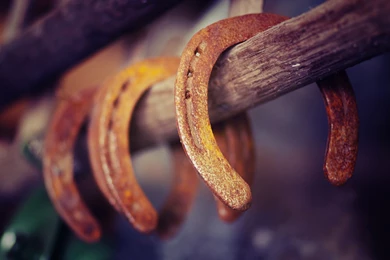 1 Horseshoe HD Wallpapers