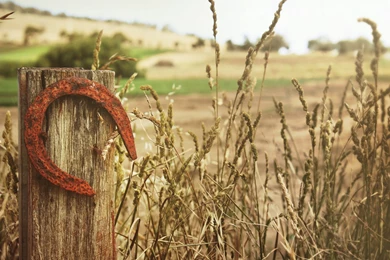 Horseshoe Wallpapers   Wallpapers Cave