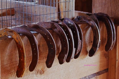 Horseshoe Wallpapers   Wallpapers Cave