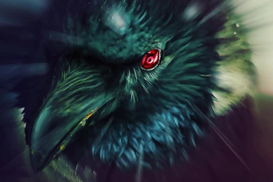 ITACHI CROW WALLPAPER   (