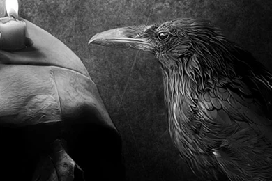 iPhone 6 Crow Wallpapers HD, Desktop Backgrounds 750x1334