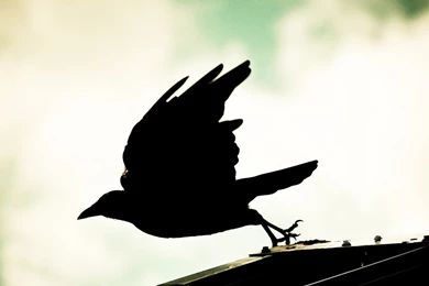 iPad Mini Wallpapers   HD Wallpapers & Backgrounds