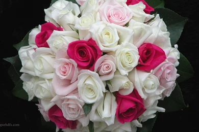 Bridal Bouquets Hd Wallpapers