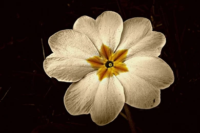 Nature Wallpaper: Real Space Wide Wallpapers Wallpapers HD Desktop ...