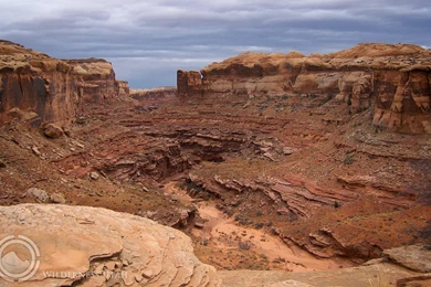 Horseshoe Canyon   Free Desktop Wallpapers