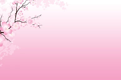 Cherry Blossoms Flowers Nature Wallpapers Desktop Backgrounds ...