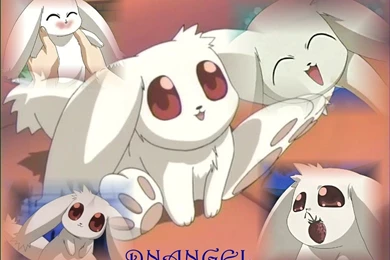 Daisuke DNAngel Wallpapers By Tsunade487 On DeviantArt