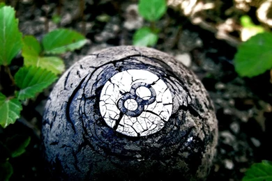 Billiard Tablet Nature HD