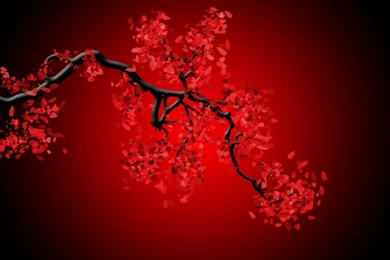 Wallpapers Red And Black Blossom Hd 1366x768