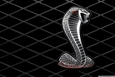 2007 Ford Shelby GT500 Logo HD Desktop Wallpapers : Widescreen ...