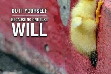 Do It YourSelf Quote Hd Wallpapers   HDWallpapersin.com