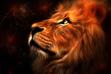 Animal Animals Artwork Lions Animals Artwork (id: 163397) – BUZZERG