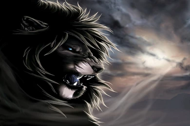 Angry Lions Wallpapers