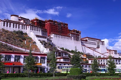 Potala Palace In Tibet Pictures