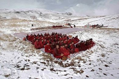 Tibet Monks   (
