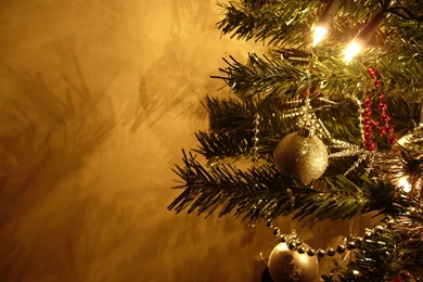 Christmas Tree Wallpapers