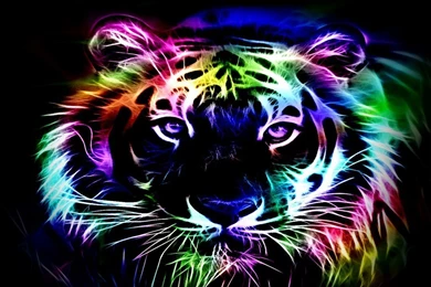 Tiger Wallpapers For Mobile Iphone 6 Plus Wallpapers