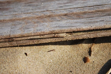 Organic, Wallpaper, Number (