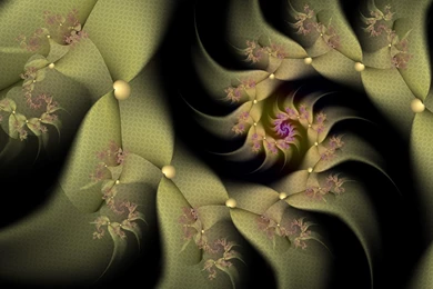 Moss Green Organic >> HD Wallpaper, Get It Now!