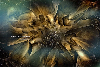 Organic Mushroom < Abstract < Gallery < Desktop Wallpapers