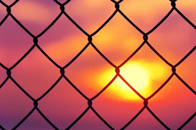 Wallpapers Of Natures, Organic, Fresh Air, Widescreen Wallpapers ...