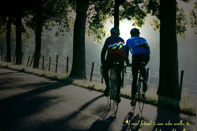 35+ Friendship Wallpapers And Friendship Quotes