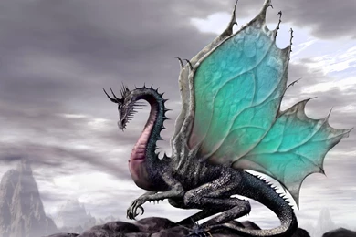 Dragon Wallpapers 3D   Wallpaper.