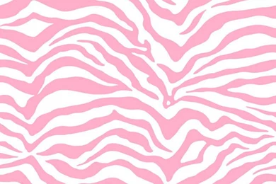 Pink White Kd1800 Zebra Skin Wallpapers By York