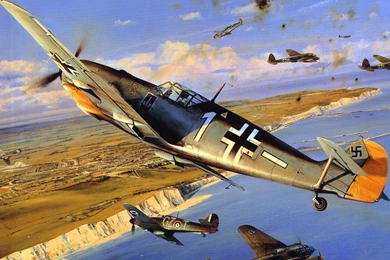 Aircraft Messerschmitt Warbird Bf109