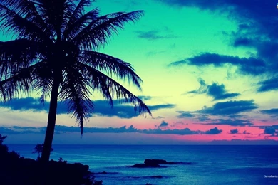 Beach Wallpapers Cd9   HD Wallpapers