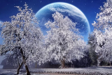 Free Widescreen Wallpapers Downloads_other_Desktop Wallpapers Free ...