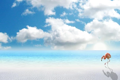 Wallpapers White Sand Miami Beach Wallpapers Desktop