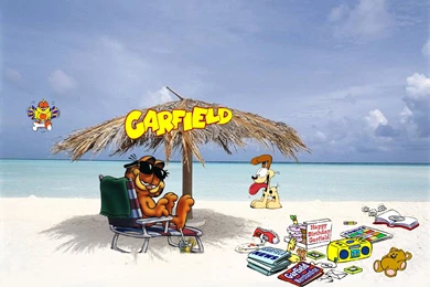 Garfield On The Beach Wallpapers 1024x768