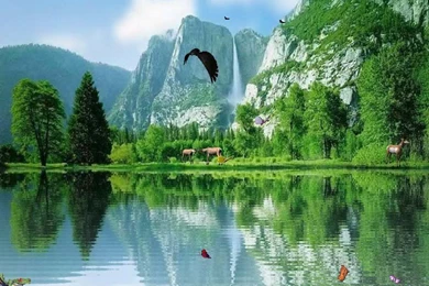 Most Popular Screen Savers