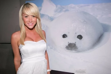 Final Fantasy Final Fantasy Vii Tifa Lockheart 1920x1080 Wallpapers ...