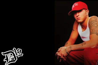 D12 E 22278 Eminem VIP Wallpapers