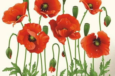Aliexpress.com : Buy Big Discount!! RED POPPY Removable Wall ...