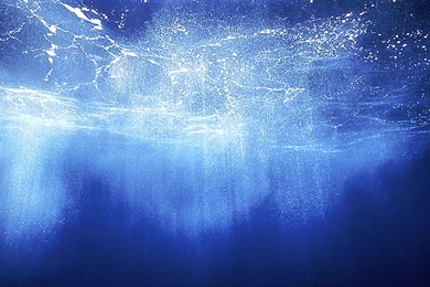 XP Media Center Wallpapers   Widescreen Wallpapers