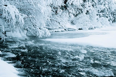 Ice Nature Snow Trees Forest Streams Rivers Nordic Wallpapers ...